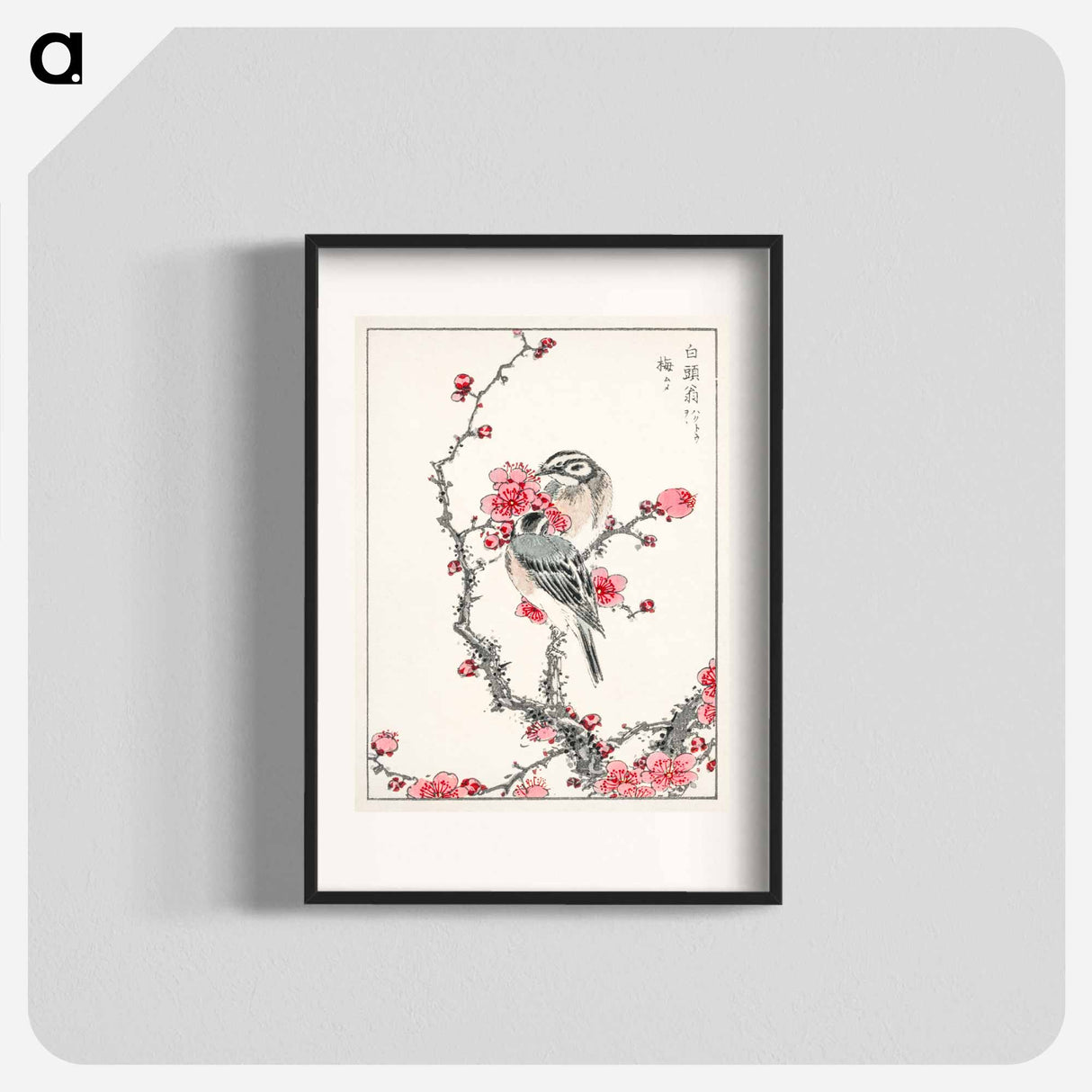 アートポスター-Pine Bunting and Plum Tree
 - 鳥類図鑑 Poster.