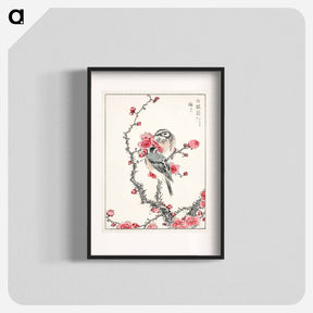 アートポスター-Pine Bunting and Plum Tree
 - 鳥類図鑑 Poster.