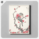 アートパネル-Pine Bunting and Plum Tree
 - 鳥類図鑑 Canvas.