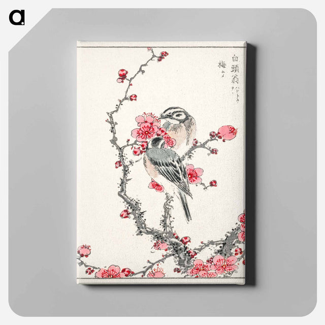 アートパネル-Pine Bunting and Plum Tree
 - 鳥類図鑑 Canvas.