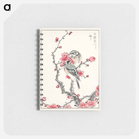アートメモ帳-Pine Bunting and Plum Tree
 - 鳥類図鑑 Memo.