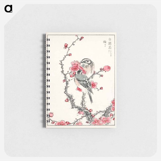 アートメモ帳-Pine Bunting and Plum Tree
 - 鳥類図鑑 Memo.