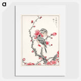 アートポスター-Pine Bunting and Plum Tree
 - 鳥類図鑑 Poster.