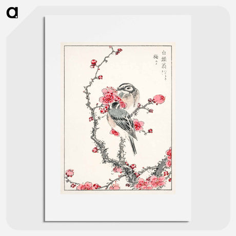 アートポスター-Pine Bunting and Plum Tree
 - 鳥類図鑑 Poster.