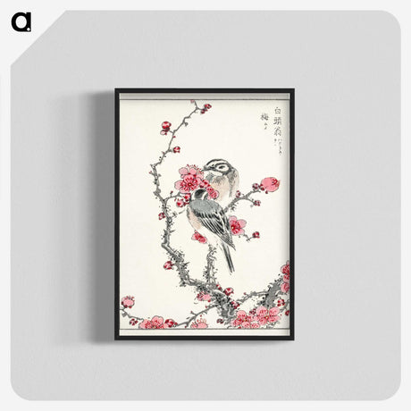 1-5_Pictorial-Monograph-of-Birds_blk-crop