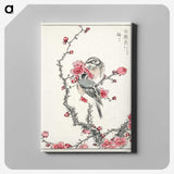 1-5_Pictorial-Monograph-of-Birds_canvas