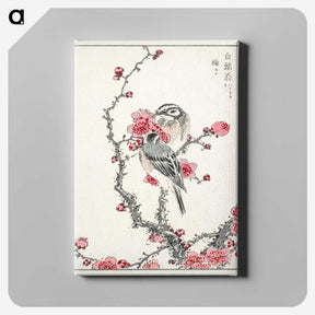 1-5_Pictorial-Monograph-of-Birds_canvas