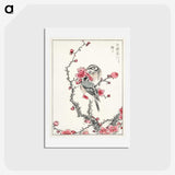 1-5_Pictorial-Monograph-of-Birds_hagaki