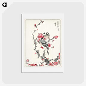 1-5_Pictorial-Monograph-of-Birds_hagaki