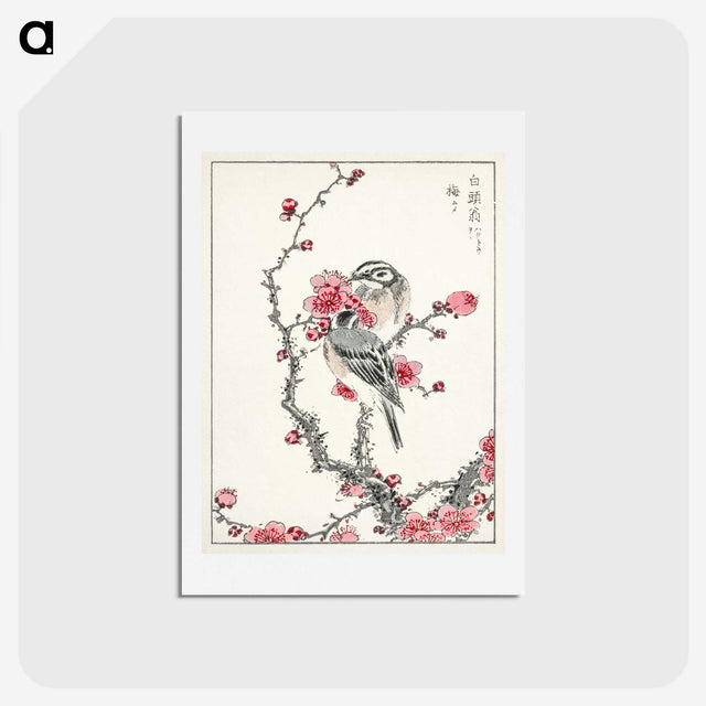 1-5_Pictorial-Monograph-of-Birds_hagaki
