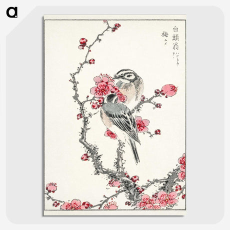 1-5_Pictorial-Monograph-of-Birds_picture-crop