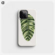 1-5_Plants-with-Colored-Foliage_phone