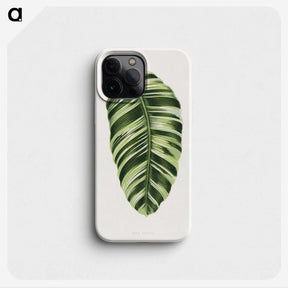 1-5_Plants-with-Colored-Foliage_phone