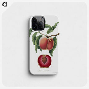 1-5_Pomona-Italiana_phone