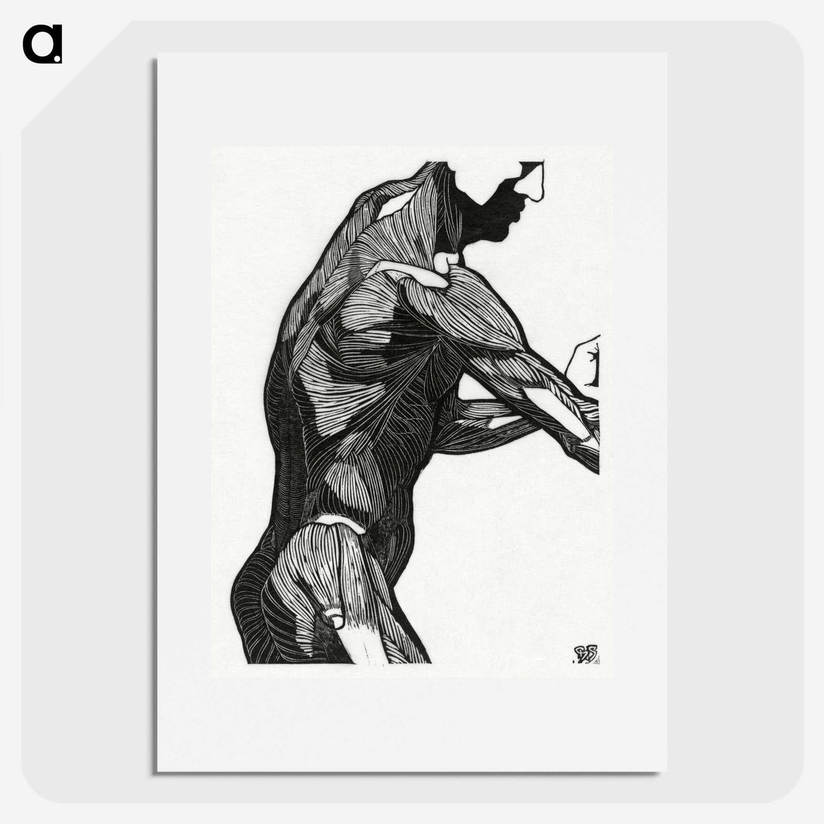 1-5_Reijer-Stolk_picture