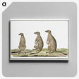 1-5_Robert-Jacob-Gordon_canvas