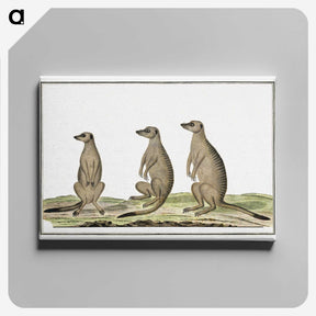 1-5_Robert-Jacob-Gordon_canvas