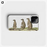 1-5_Robert-Jacob-Gordon_phone