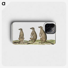 1-5_Robert-Jacob-Gordon_phone