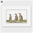 1-5_Robert-Jacob-Gordon_picture