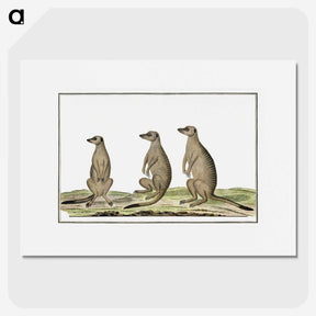 1-5_Robert-Jacob-Gordon_picture