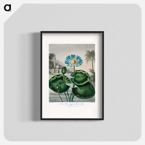 The Blue Egyptian Water-Lily
 - ロバート ジョン ソーントン Poster.