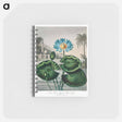 アートメモ帳-The Blue Egyptian Water-Lily
 - ロバート ジョン ソーントン Memo.