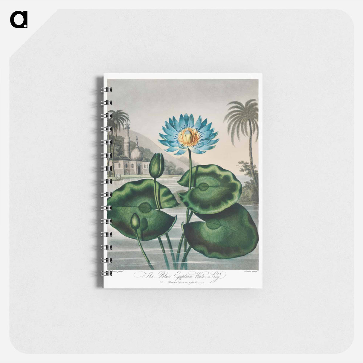 アートメモ帳-The Blue Egyptian Water-Lily
 - ロバート ジョン ソーントン Memo.