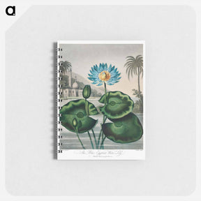 アートメモ帳-The Blue Egyptian Water-Lily
 - ロバート ジョン ソーントン Memo.