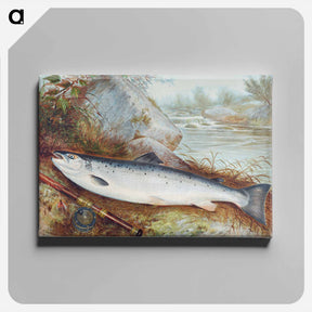アートパネル-Trout Chromolithograph
 - サミュエル キルボーン Canvas.