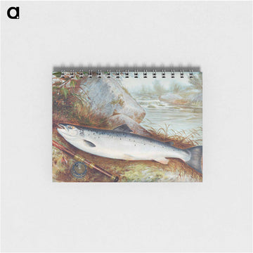 Trout Chromolithograph
 - サミュエル キルボーン Memo.