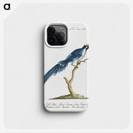1-5_Saverio-Manetti_phone
