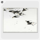 1-5_Seitei-Kacho-Gafu_picture-crop