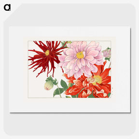 1-5_Seiyo-Soka-Zufu_picture