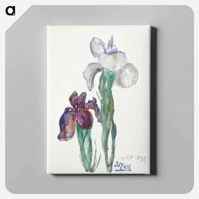 アートパネル-Irises
 - シエンチェ メスダグ ファン ハウテン Canvas.
