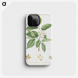 1-5_Stirpes-Novae_phone