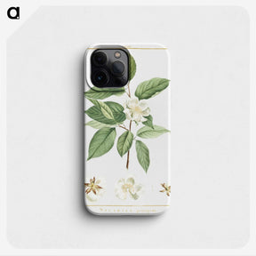 1-5_Stirpes-Novae_phone