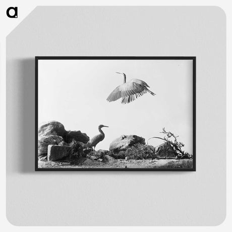 1-5_The-Burton-Brothers_blk-crop