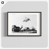 1-5_The-Burton-Brothers_blk