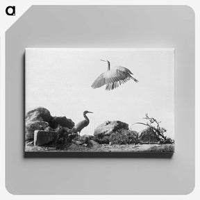 1-5_The-Burton-Brothers_canvas