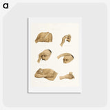 1-5_The-Daily-Prayers-of-the-Brahmins_hagaki