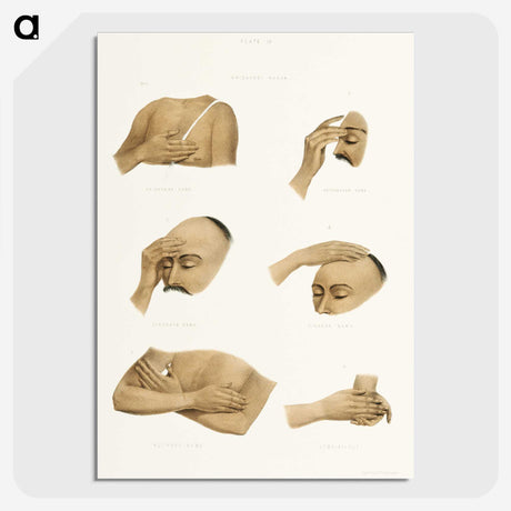 1-5_The-Daily-Prayers-of-the-Brahmins_picture-crop