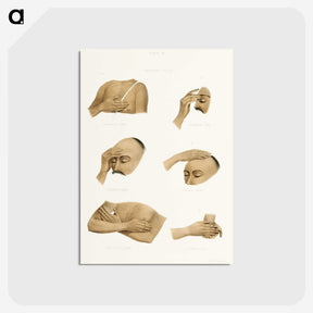 1-5_The-Daily-Prayers-of-the-Brahmins_postcard