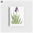 1-5_The-Genus-Iris_memo