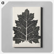 アートパネル-Nineteenth-Century Leaf Design
 - 装飾の文法 Canvas.