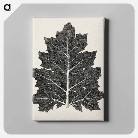 アートパネル-Nineteenth-Century Leaf Design
 - 装飾の文法 Canvas.