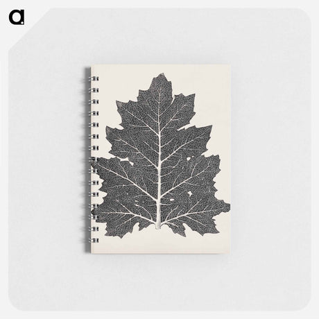 アートメモ帳-Nineteenth-Century Leaf Design
 - 装飾の文法 Memo.