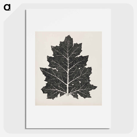 アートポスター-Nineteenth-Century Leaf Design
 - 装飾の文法 Poster.