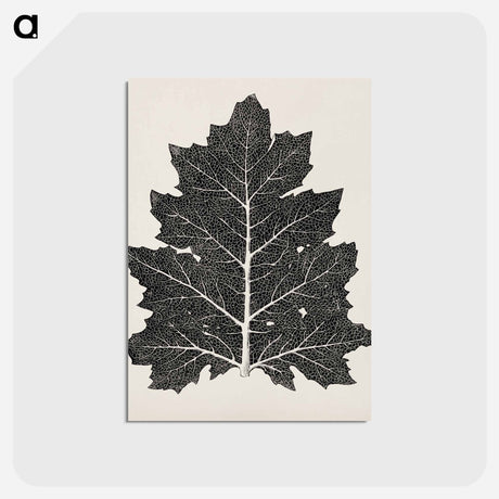 アートポストカード-Nineteenth-Century Leaf Design
 - 装飾の文法 Postcard.