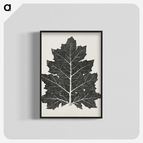 1-5_The-Grammar-of-Ornament_blk-crop